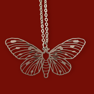 Collier Papillon Acier Inoxydable 316L